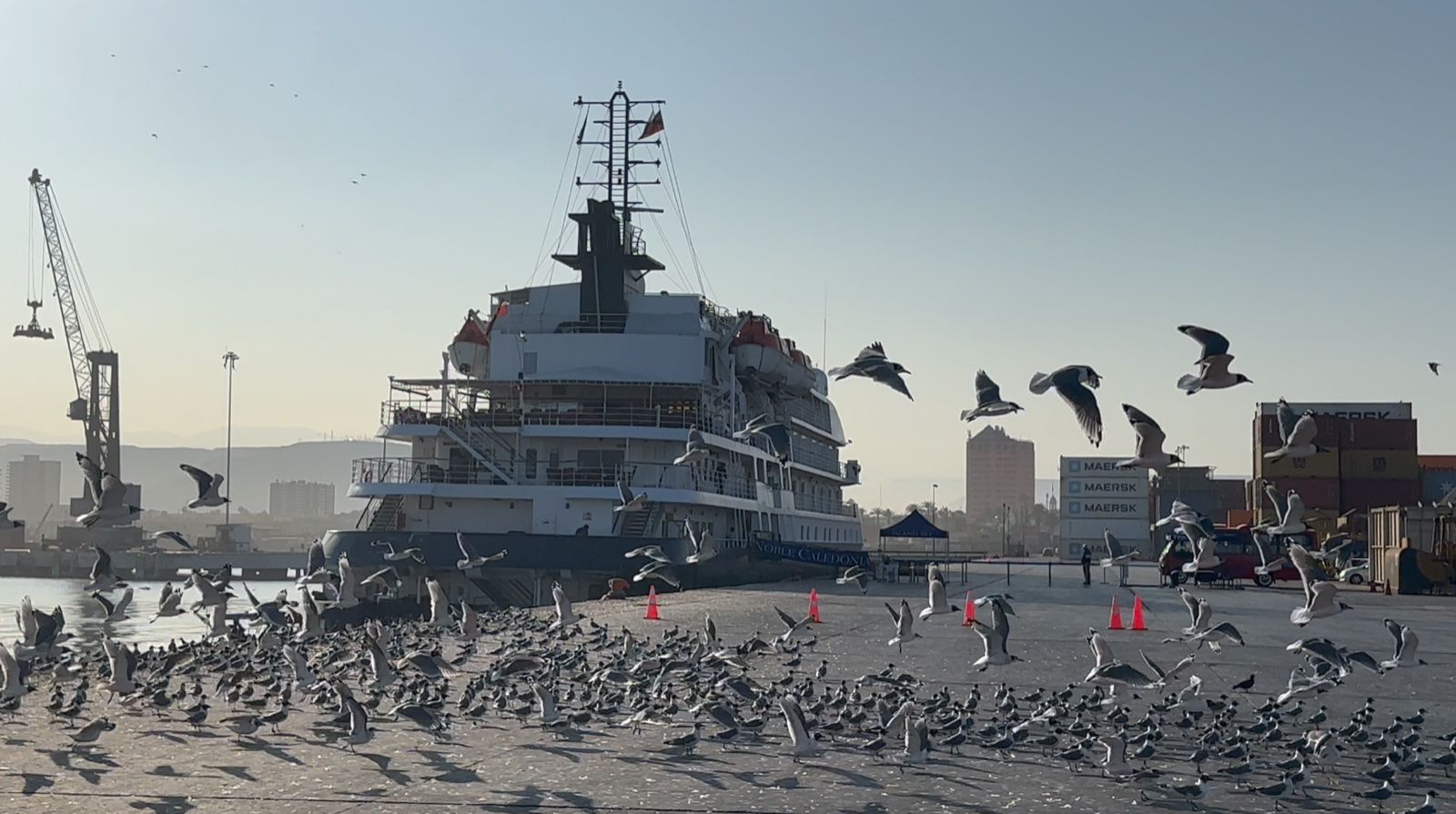 Puerto De Arica Recibe Al Crucero Island Sky Portalportuario