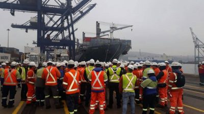 Exportadores de fruta chilenos expresan preocupación por nuevo paro de la Unión Portuaria y del FTPC