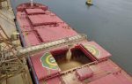 China recibe 91,8% de exportaciones de soja manejadas en Puerto de Paranaguá
