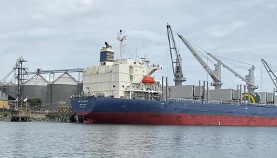 Ecuador extiende concesión de Andipuerto en terminal granelero y multipropósito de Guayaquil
