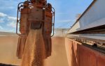 USDA mantiene sin cambios pronóstico de exportaciones de soya tras reanudar ventas a China