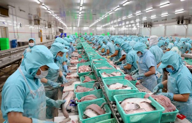 Vietnam's aquatic exports decline due to Covid-19 - Tridge