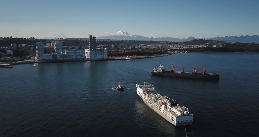 Puerto Montt vaquilla 0