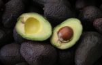 Colombia: Exportaciones de palta registran un alza del 21,3% durante 2025
