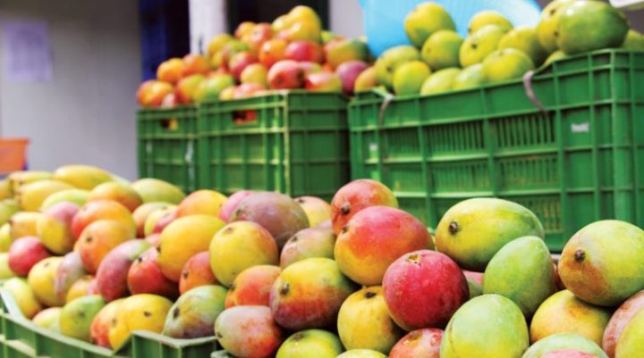 Brasil bate recorde e alcança mais de um bilhão de dólares em exportação de frutas