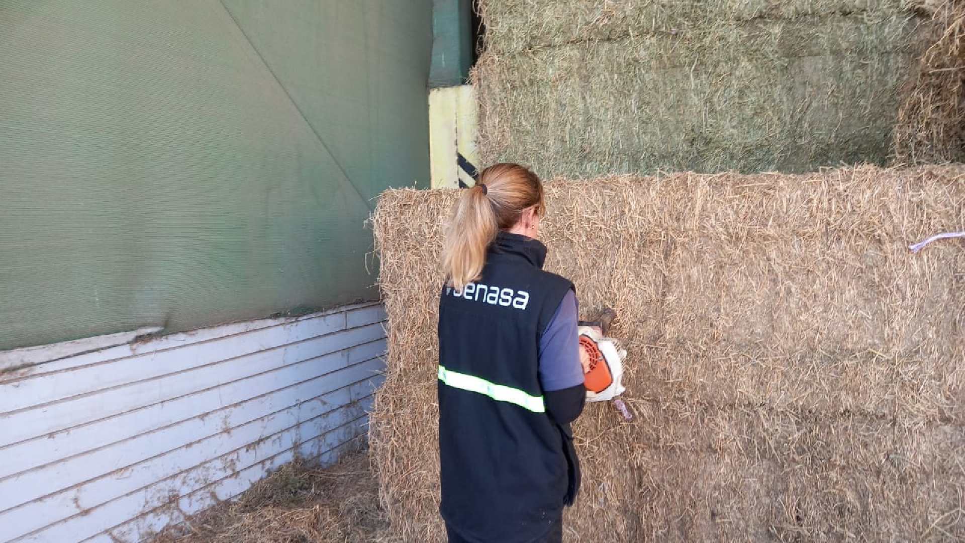 Argentina Santiago del Estero exports 685 tons of alfalfa to China