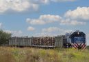 Gobierno argentino prorroga condición de emergencia ferroviaria para mejorar seguridad operativa Gobierno argentino prorroga condición de emergencia ferroviaria para mejorar seguridad operativa
