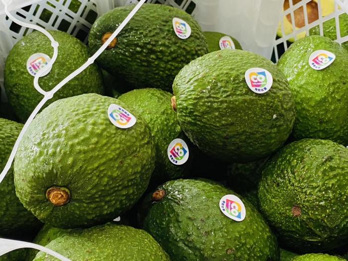 Colombia: Valor de la palta de exportación sube 40% en 2021 -  PortalPortuario