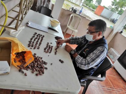 Ecuador exporta más de 330 mil toneladas de cacao en grano durante 2021