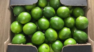Envíos peruanos de limones a Chile se contraen ante 