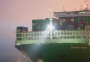 Video: Así fue la llegada del Ever Ace al Puerto de Felixstowe
