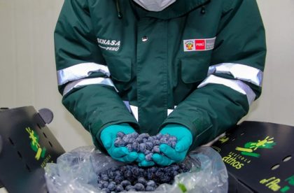 Perú: Exportaciones agropecuarias aumentan 10,8% en primer trimestre de 2024