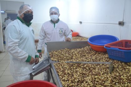 Bolivia: Frutos amazónicos buscan certificación orgánica para su exportación