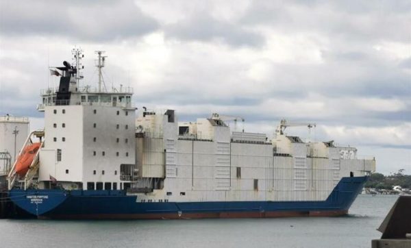 Autoridades australianas subastarán buque ganadero abandonado