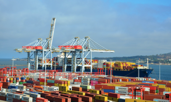 Uruguay: Realizan 2.027 movimientos de contenedores ante arribo simultánea de buques al Puerto de Montevideo