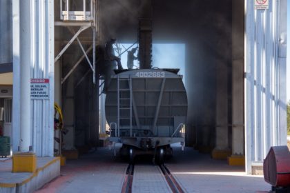 Trenes Argentinos Cargas abre licitación para adquirir 180 vagones para transportar granos