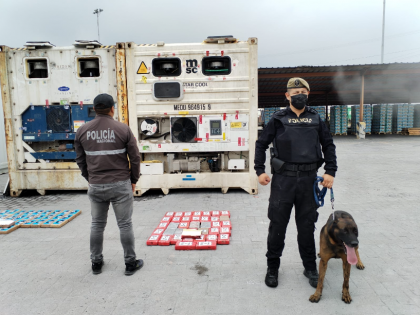 Ecuador: Decomisan cocaína oculta en contenedores ubicados en Guayaquil y Puerto Bolívar