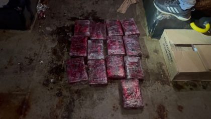 República Dominicana: Encuentran cocaína durante inspección en Puerto Haina