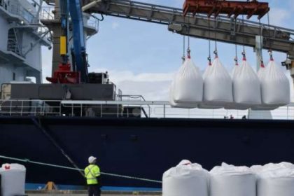 Sector forestal encabeza cifras positivas de TasPorts en informe de mitad de año fiscal 2025-2026