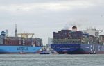 CMA CGM oficializa toma de espacios en servicio Oceania de Maersk