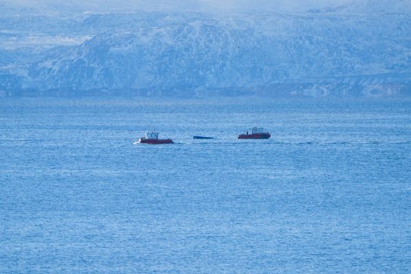 Remolcadores empujando contenedor en la bahía de Iqaluit