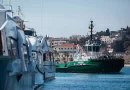 Croacia: Damen entrega el remolcador ASD 2811 a Brodospas