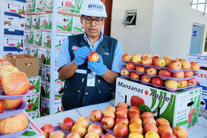 Perú: Aprueban levantar suspensión de requisitos fitosanitarios para importar fruta de Chile