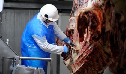 Uruguay es habilitado para exportar estómagos bovinos a China