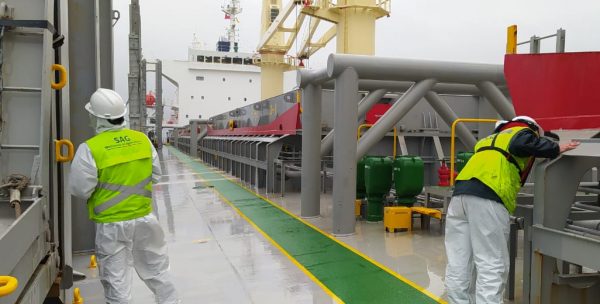 SAG realiza inspección preventiva para detectar polilla que llega a Chile a bordo de naves