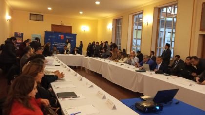 Aduana participa en Consejo de la Seguridad Pública de Magallanes