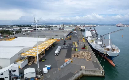 Nueva Zelanda: Destruirán más de un millón de bandejas de kiwi tras hallazgo de ratones en embarque