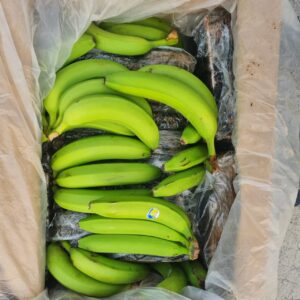 Policía de Ecuador decomisa más de 2 mil kilos de cocaína escondidos en cajas de bananos