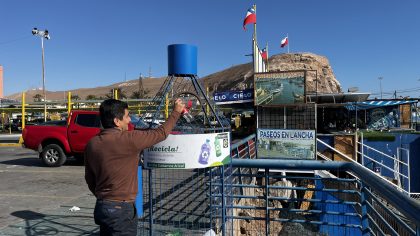 Empresa Portuaria Arica recicla 300 kilos de plásticos