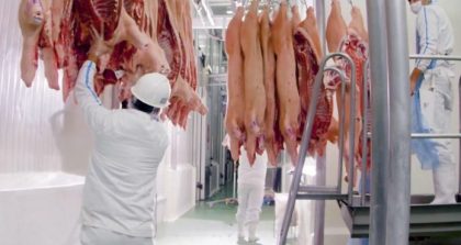 Paraguay: Exportaciones de carne porcina evidencian aumento de 113% en doce meses