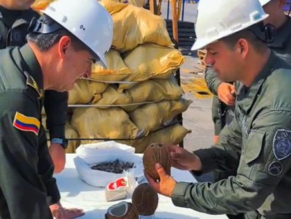 Colombia: Encuentran cocaína diluida al interior de cocos que pretendían ser exportados por Puerto de Cartagena