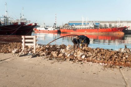 Argentina: Obras del Puerto de Mar del Plata avanza con reparación de 280 metros de frente de muelle