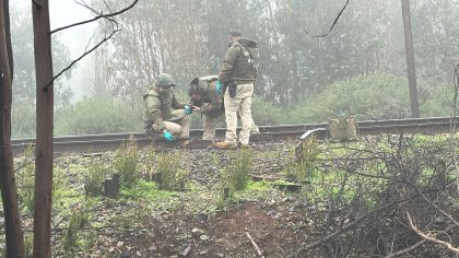 Región de La Araucanía: Intentan descarrilar a convoy de carga mediante sabotaje de línea férrea