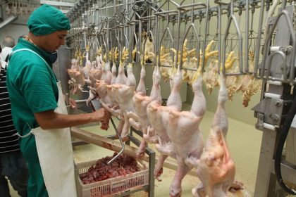 Paraguay: Sector avícola busca llegar a nuevos mercados