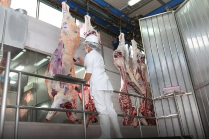 Chile se posiciona como primer destino de exportaciones de carne bovina paraguaya con 40,3%