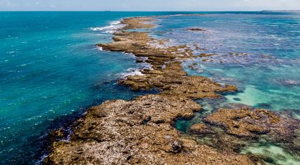 Brasil: Autoridad Portuaria de Bahía firma asociación para la recuperación de arrecifes de coral en los puertos de Bahía