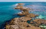Brasil: Autoridad Portuaria de Bahía firma asociación para la recuperación de arrecifes de coral en los puertos de Bahía