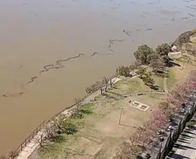 Argentina: Denuncian a buque que derramó hidrocarburo en el río Paraná