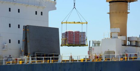 Frutas de Chile manifiesta preocupación ante potencial pérdida de competitividad con imposición de Royalty Portuario