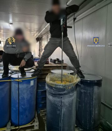 Rumania: Policía descubre cocaína oculta en envío procedente de Sudamérica en Puerto de Constanza