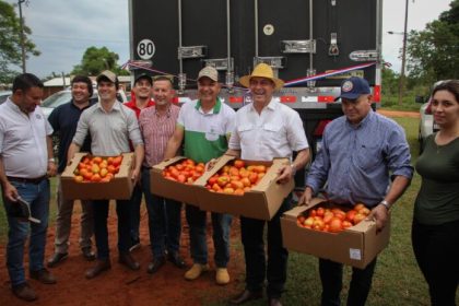 Paraguay realiza primer envío de tomates a Argentina