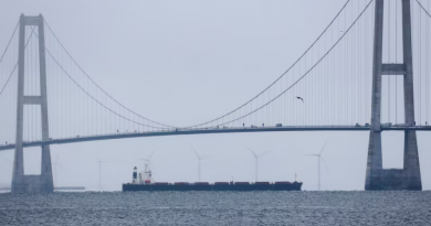 Ejército danés se mantiene cerca de granelero chino tras corte de cables de telecomunicaciones en el Mar Báltico