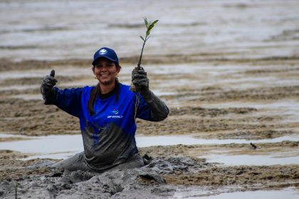 DP World Ecuador siembra 250 mil plantas de mangle rojo