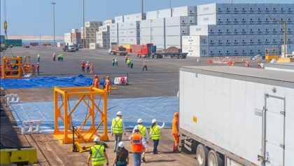 Puerto de Paracas enviara 4.500 toneladas de uva peruana a Estados Unidos