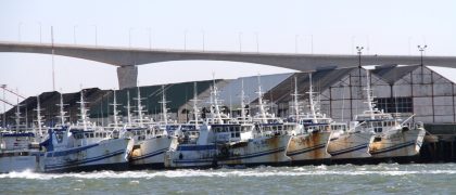 Tribunal británico dictamina que constructor naval puede apelar a sentencia en caso "bonos atuneros"