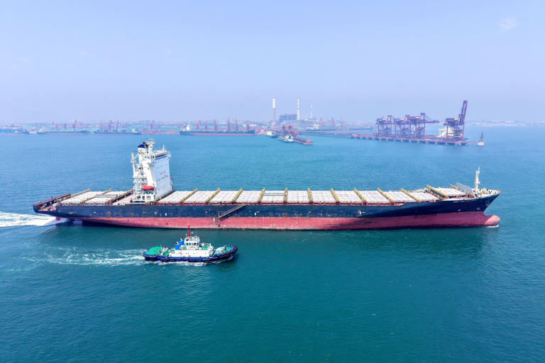 Flota de portacontenedores inactivos sigue por debajo del 1% -  PortalPortuario